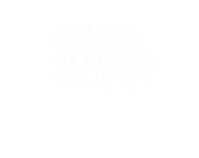 Arkeo Film